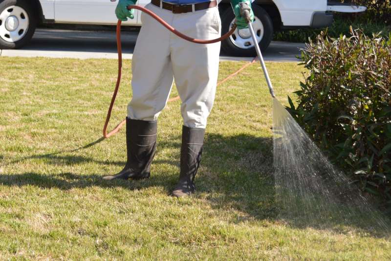 Electromagnetic and Ultrasonic Pest Repellents